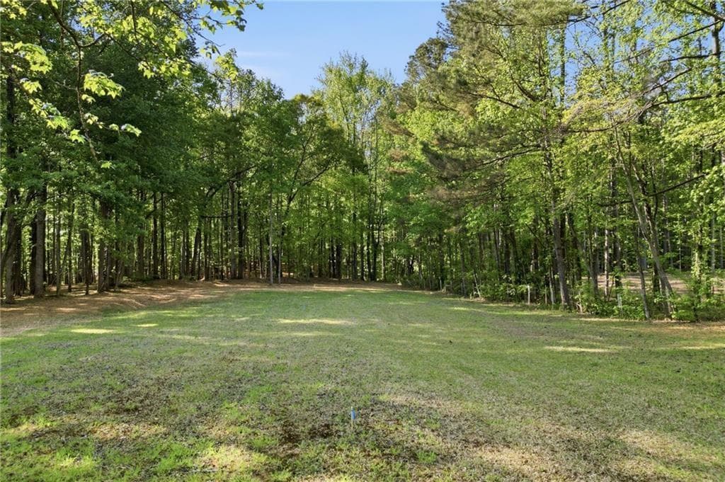 unimproved land for sale at 2400 Trinity Church Road, Canton, GA 30115 — photo 3