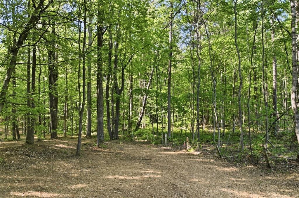 unimproved land for sale at 2400 Trinity Church Road, Canton, GA 30115 — photo 5