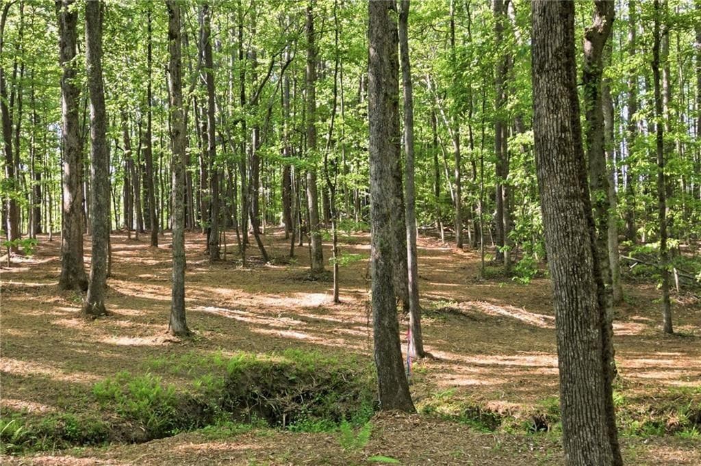 unimproved land for sale at 2400 Trinity Church Road, Canton, GA 30115 — photo 6