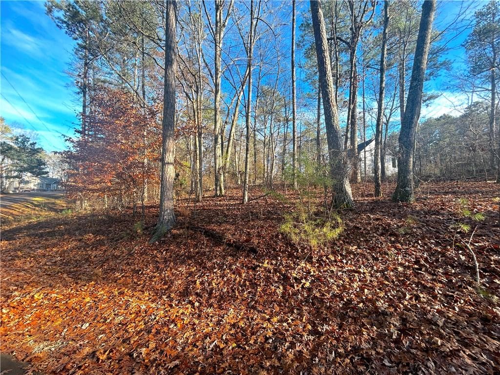 single family residence for sale at 3339 Cherokee Court, Villa Rica, GA 30180 — photo 3