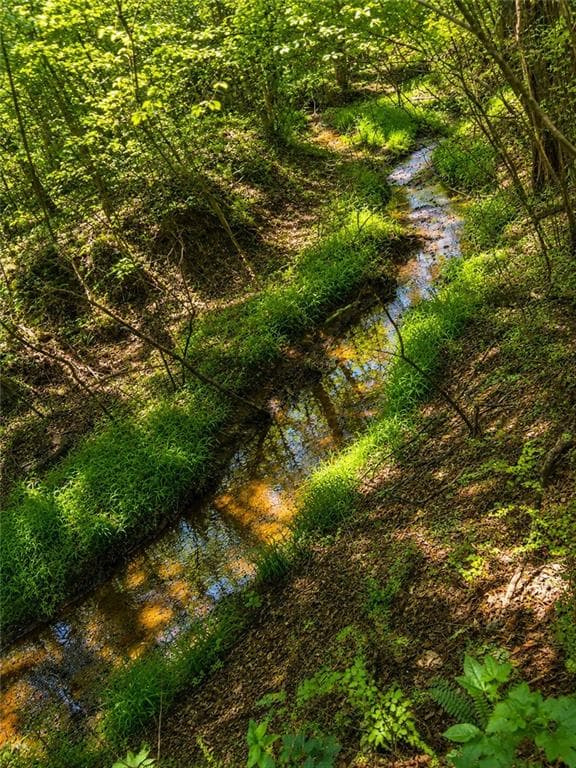 unimproved land for sale at 4523 Riverside Drive, Lilburn, GA 30047 — photo 5
