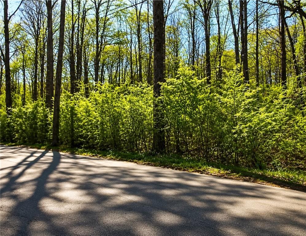 unimproved land for sale at 4523 Riverside Drive, Lilburn, GA 30047 — photo 6