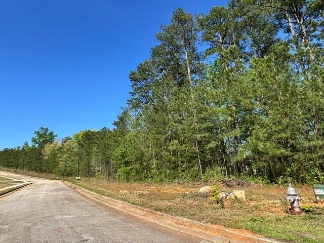 single family residence for sale at 228 Oakdale Way, Temple, GA 30179 — photo 3