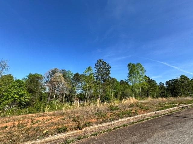single family residence for sale at 228 Oakdale Way, Temple, GA 30179 — photo 7