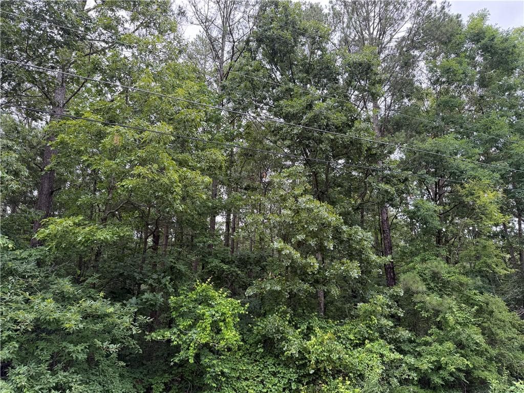 other for sale at 000 Cowan Drive, Cartersville, GA 30120 — photo 4