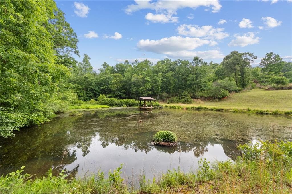 3 bedroom, 4 bathroom, 5,282 sq ft single family residence for sale at 4454 Ledan Extension, Gainesville, GA 30506 — photo 6