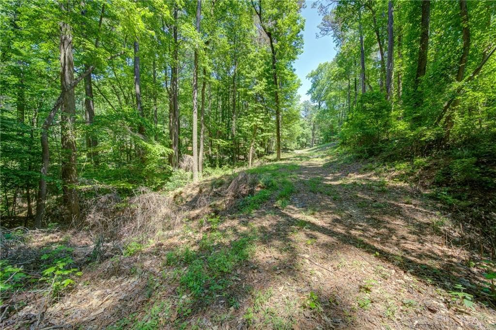 unimproved land for sale at 1981 Mountain Road, Alpharetta, GA 30004 — photo 7