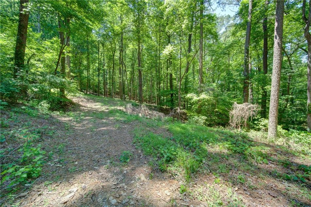unimproved land for sale at 1981 Mountain Road, Alpharetta, GA 30004 — photo 8