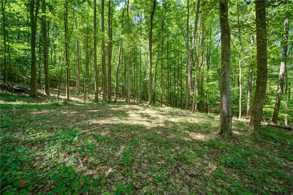 unimproved land for sale at 1981 Mountain Road, Alpharetta, GA 30004 — photo 9