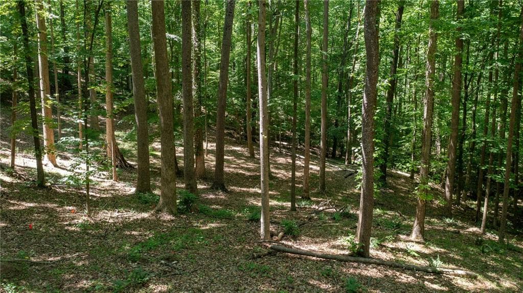 unimproved land for sale at 1981 Mountain Road, Alpharetta, GA 30004 — photo 10