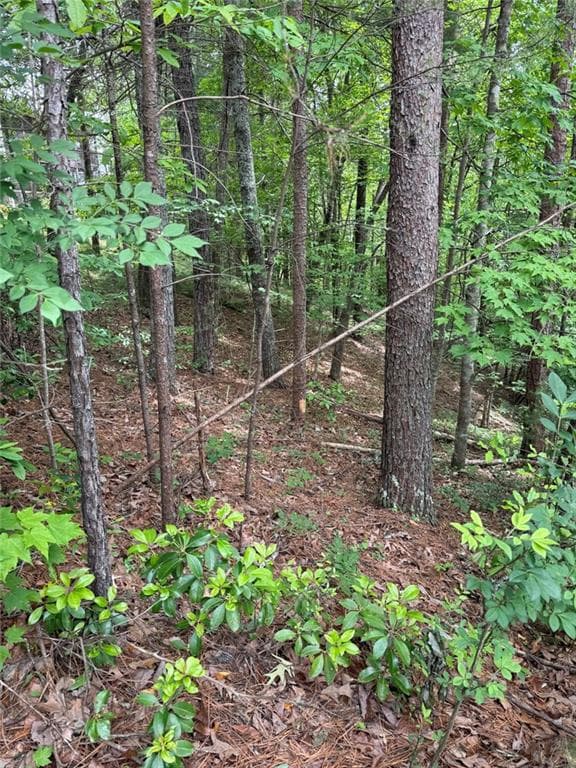 other for sale at 0 HINTERSTRATEN WEG, Helen, GA 30545