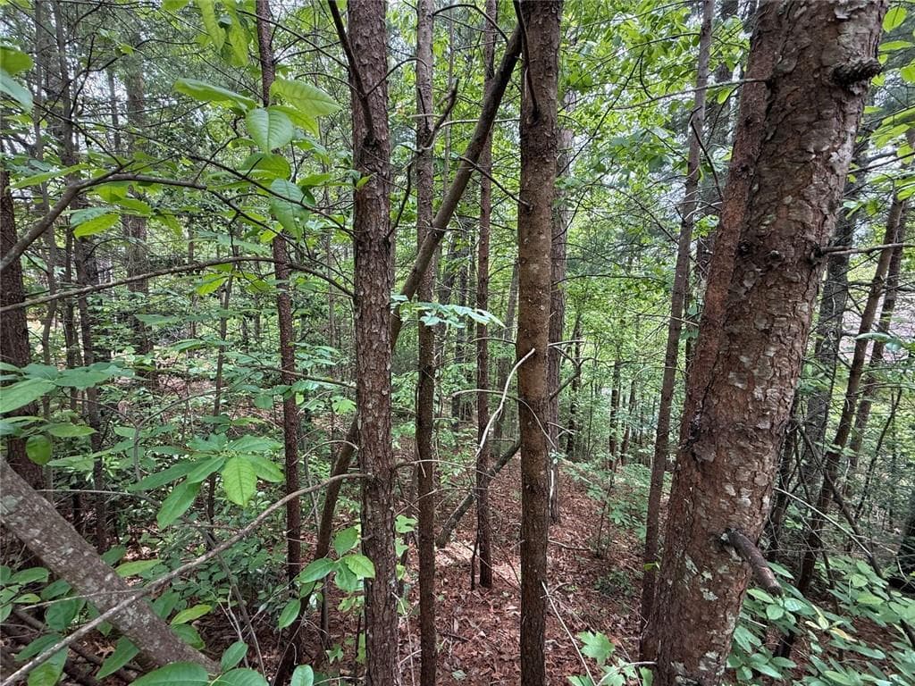 other for sale at 0 HINTERSTRATEN WEG, Helen, GA 30545 — photo 2