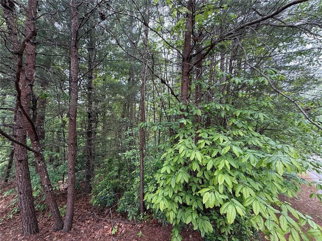 other for sale at 0 HINTERSTRATEN WEG, Helen, GA 30545 — photo 3