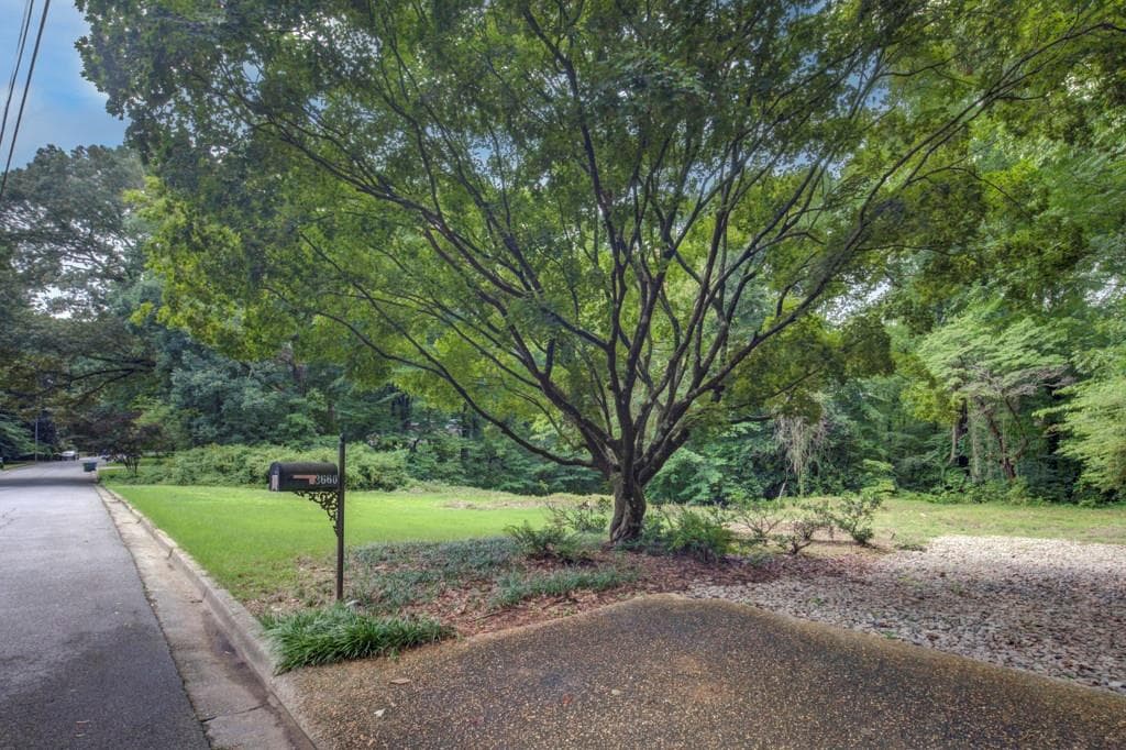 single family residence for sale at 3660 Haddon Hall Road, Atlanta, GA 30327 — photo 5
