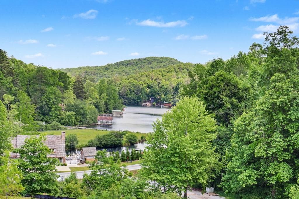 4 bedroom, 6 bathroom, 4,942 sq ft single family residence for sale at 140 Cove View Lane, Clarkesville, GA 30523 — photo 9