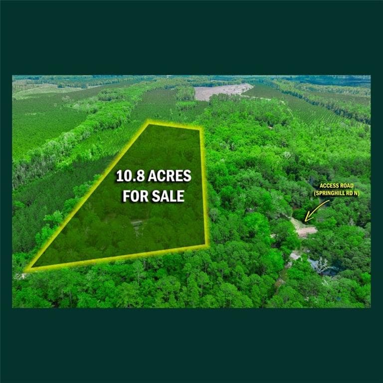 other for sale at 5435 Springhill Road, Folkston, GA 31537 — photo 8