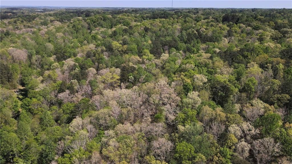 other for sale at 0 Crane Mountain Road, Toccoa, GA 30577 — photo 4