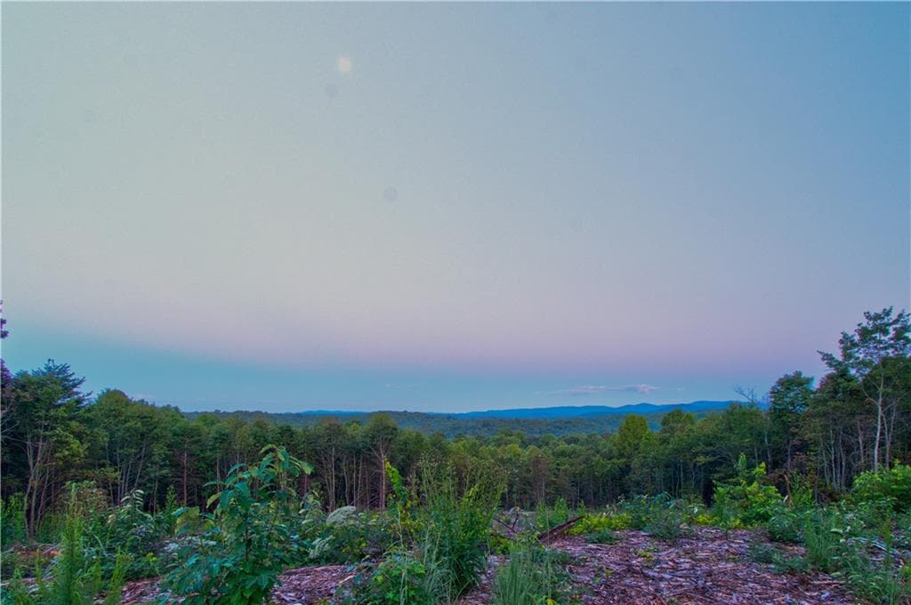 single family residence under contract at 6.7 Grateful View Drive, Dahlonega, GA 30533 — photo 4