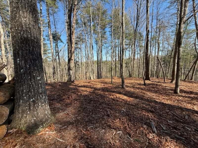 single family residence for sale at 120R Red Oak Trail, Ellijay, GA 30540 — photo 2