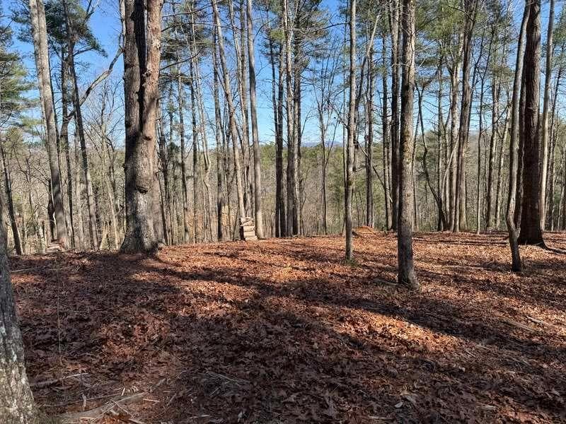single family residence for sale at 120R Red Oak Trail, Ellijay, GA 30540 — photo 3