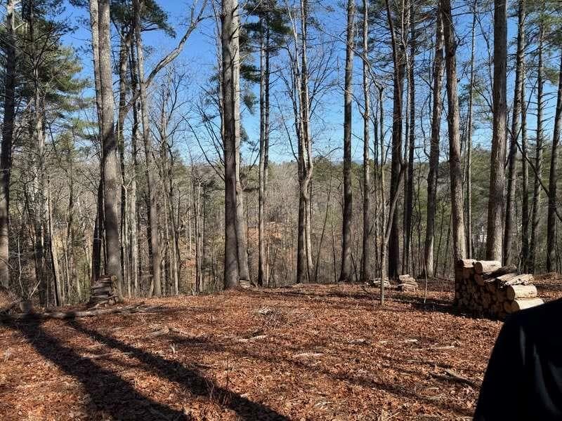 single family residence for sale at 120R Red Oak Trail, Ellijay, GA 30540 — photo 4