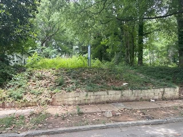 other for sale at 1189 Mobile Street, Atlanta, GA 30314 — photo 2