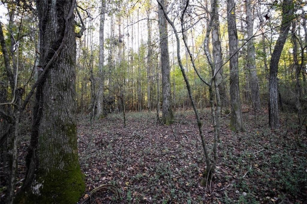 unimproved land for sale at 00 Thurman Baccus Road, Social Circle, GA 30025 — photo 1 of 6
