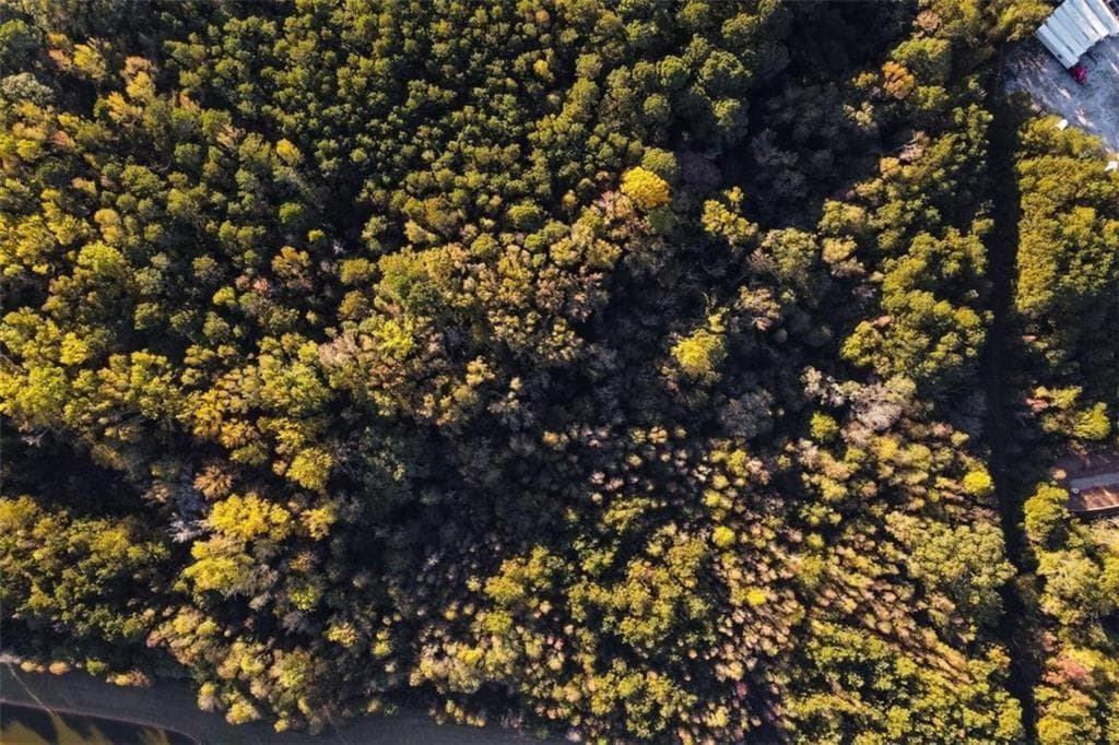 unimproved land for sale at 00 Thurman Baccus Road, Social Circle, GA 30025 — photo 2
