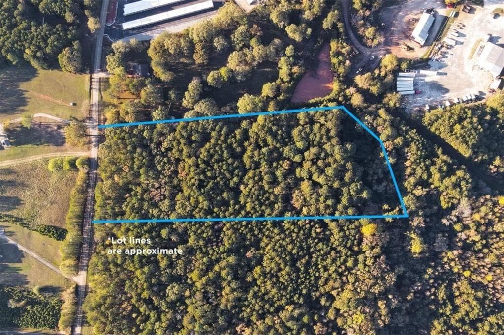 unimproved land for sale at 00 Thurman Baccus Road, Social Circle, GA 30025 — photo 3