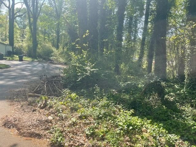 single family residence for sale at 0 McKay Drive, Atlanta, GA 30315 — photo 2