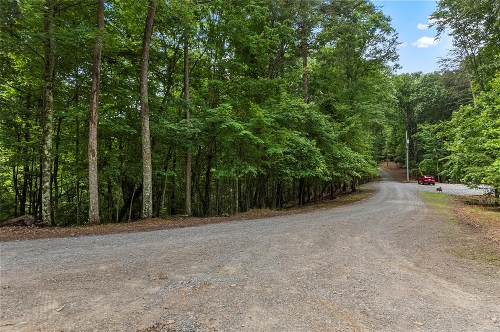unimproved land for sale at 0 Pamela Court, Ellijay, GA 30540 — photo 2