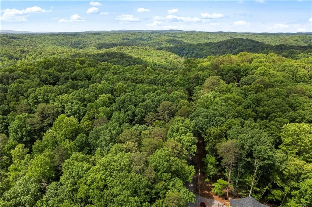 unimproved land for sale at 0 Pamela Court, Ellijay, GA 30540 — photo 3