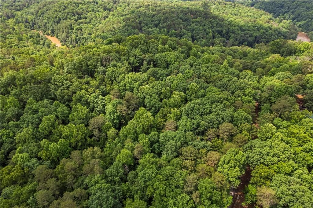 unimproved land for sale at 0 Pamela Court, Ellijay, GA 30540 — photo 4