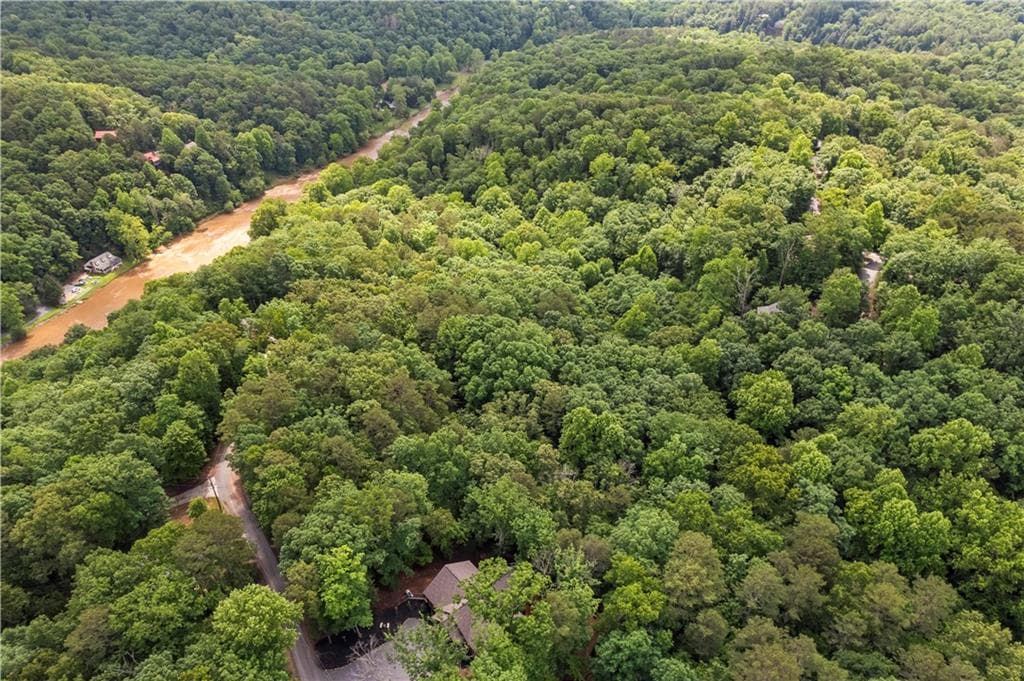 unimproved land for sale at 0 Pamela Court, Ellijay, GA 30540 — photo 5