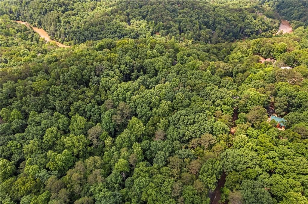 unimproved land for sale at 0 Pamela Court, Ellijay, GA 30540 — photo 6