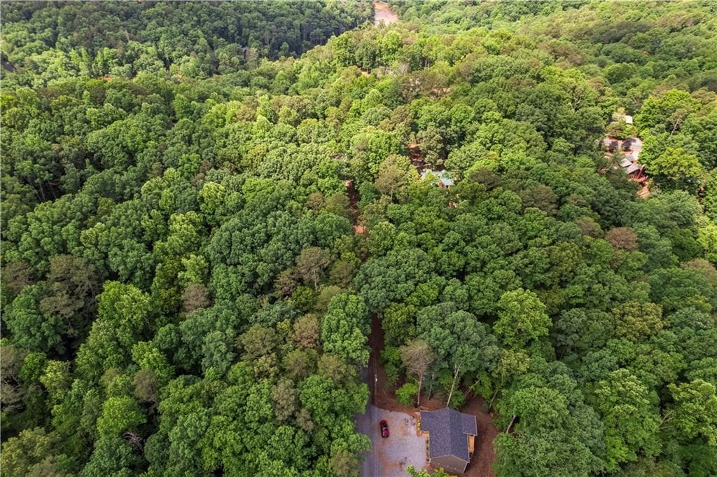 unimproved land for sale at 0 Pamela Court, Ellijay, GA 30540 — photo 2