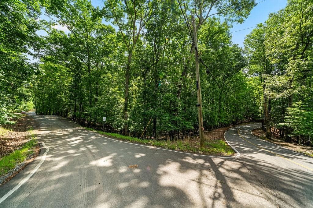 unimproved land for sale at 0 Pamela Court, Ellijay, GA 30540 — photo 4