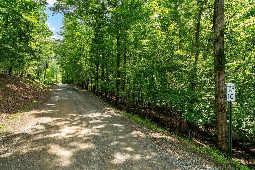 unimproved land for sale at 0 Pamela Court, Ellijay, GA 30540 — photo 6
