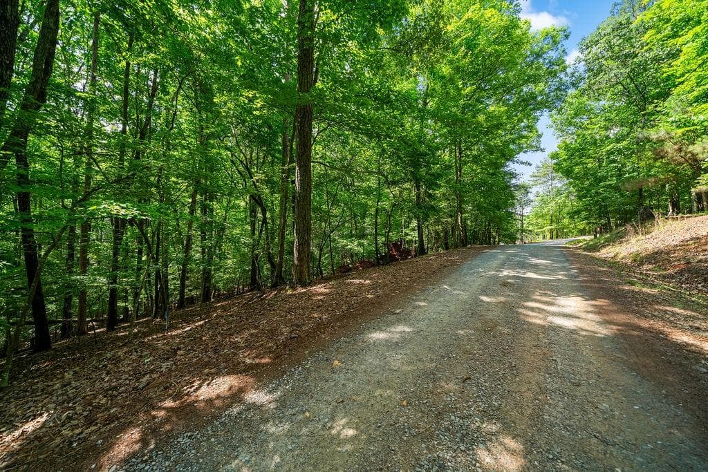 unimproved land for sale at 0 Pamela Court, Ellijay, GA 30540 — photo 7