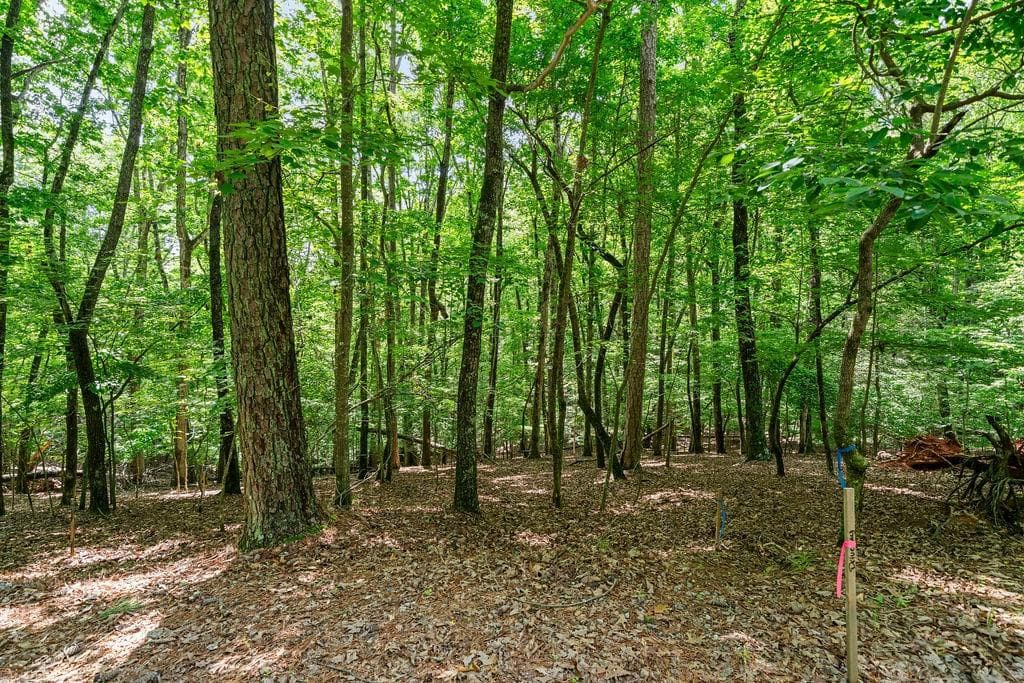 unimproved land for sale at 0 Pamela Court, Ellijay, GA 30540 — photo 8