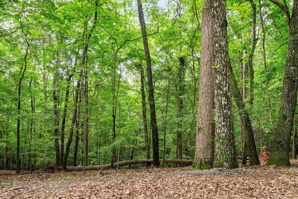 unimproved land for sale at 0 Pamela Court, Ellijay, GA 30540 — photo 9