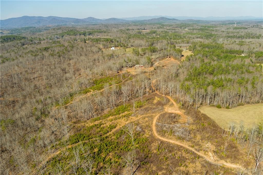 3 bedroom, 2 bathroom single family residence for sale at 170 Sperin Cabinet Shop Road, Ball Ground, GA 30107 — photo 8