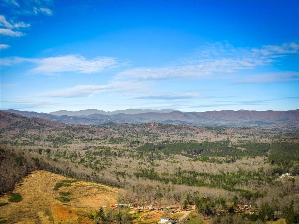 unimproved land for sale at 000 Old Federal Road, Dawsonville, GA 30534 — photo 2