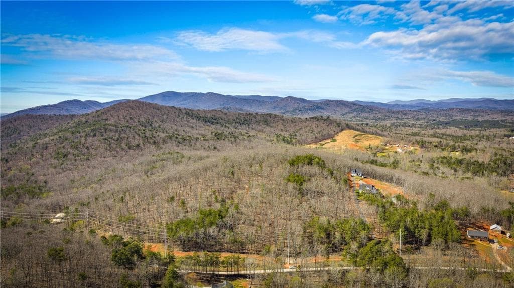 unimproved land for sale at 000 Old Federal Road, Dawsonville, GA 30534 — photo 3