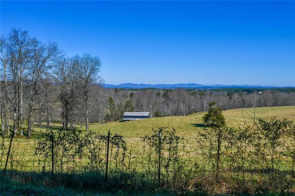 unimproved land for sale at 000 Old Federal Road, Dawsonville, GA 30534 — photo 6