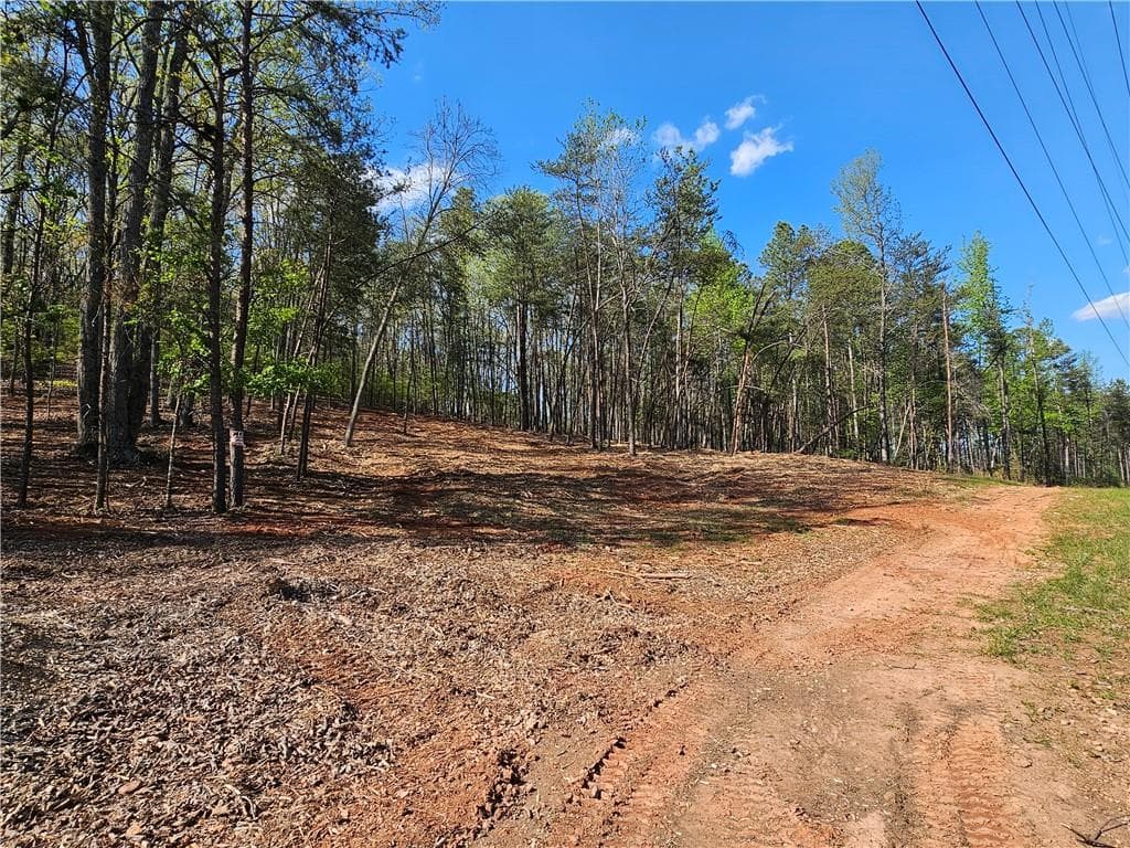 unimproved land for sale at 000 Old Federal Road, Dawsonville, GA 30534 — photo 7