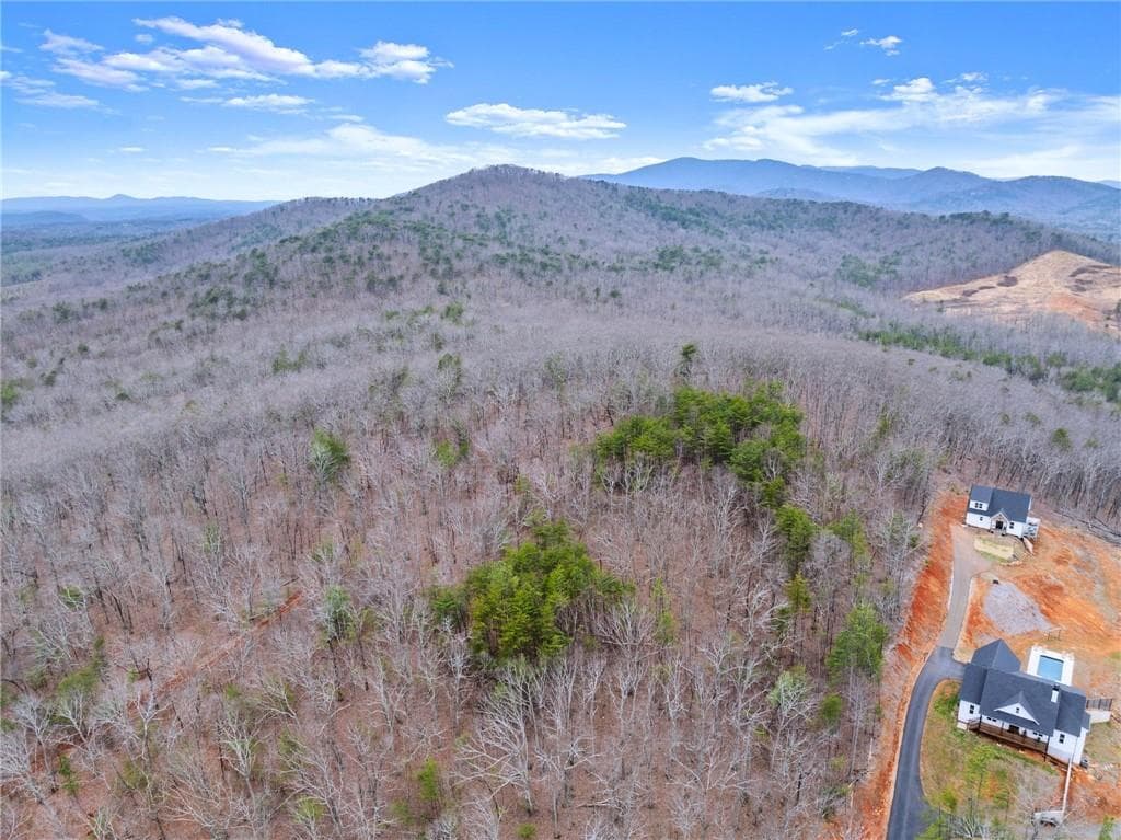unimproved land for sale at 000 Old Federal Road, Dawsonville, GA 30534 — photo 8