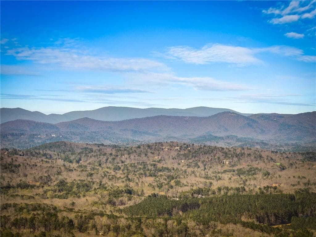 unimproved land for sale at 000 Old Federal Road, Dawsonville, GA 30534 — photo 9