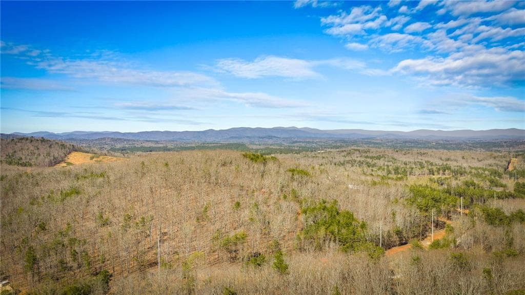 unimproved land for sale at 000 Old Federal Road, Dawsonville, GA 30534 — photo 10
