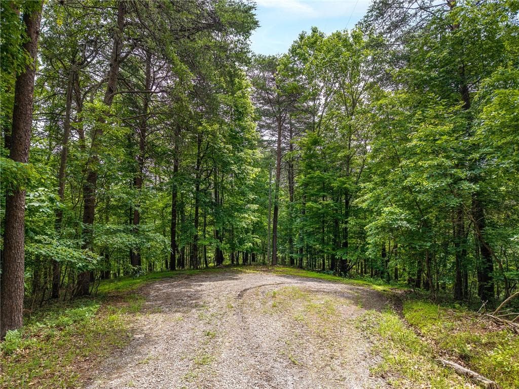 other for sale at 1331 Birch Lane, Ranger, GA 30734 — photo 1 of 43